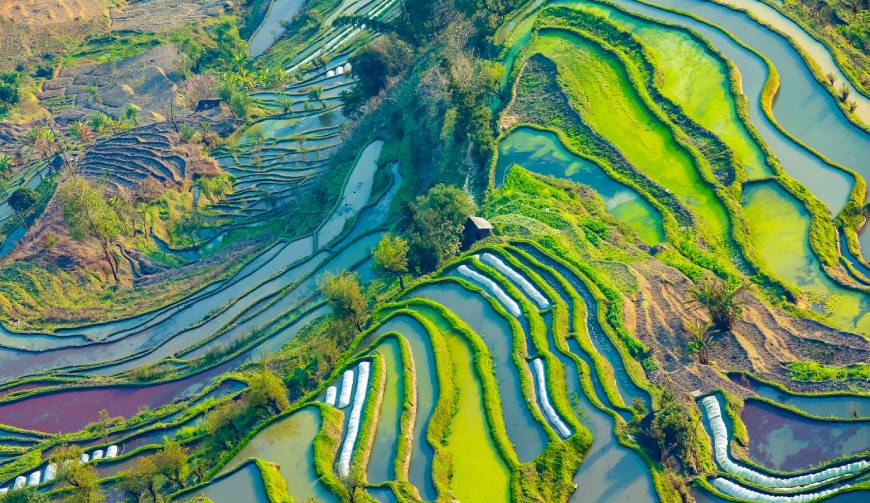 宝妈必备神器：南阳产品视频拍摄轻松育儿好帮手